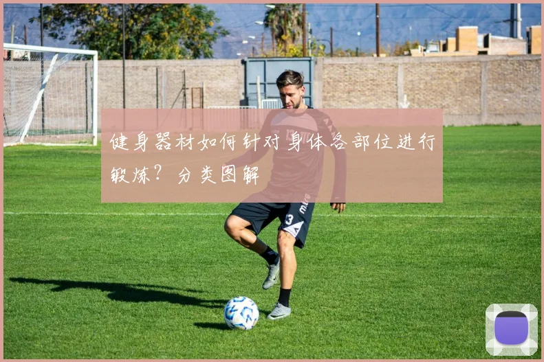 健身器材如何针对身体各部位进行锻炼？分类图解