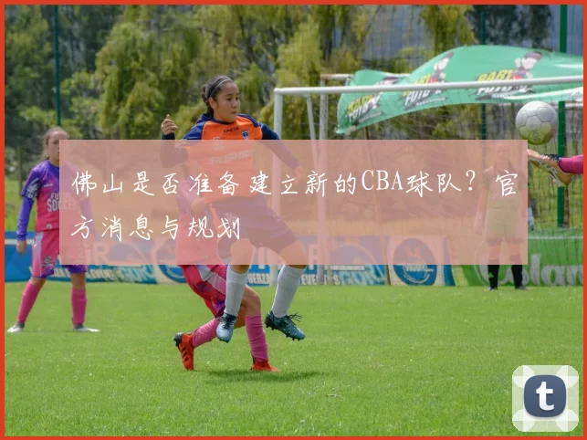 佛山是否准备建立新的CBA球队？官方消息与规划