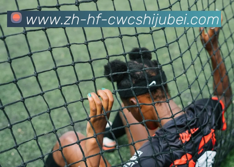 多媒体互动体验